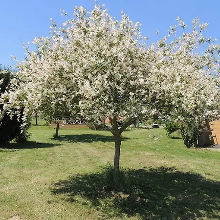 Кемпинг Domaine Maevag 4*